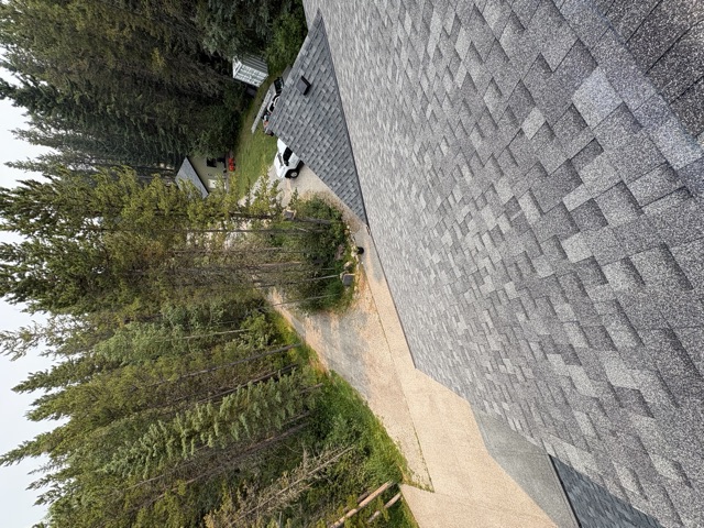 Shingle roof above a gravel drive, spruce trees