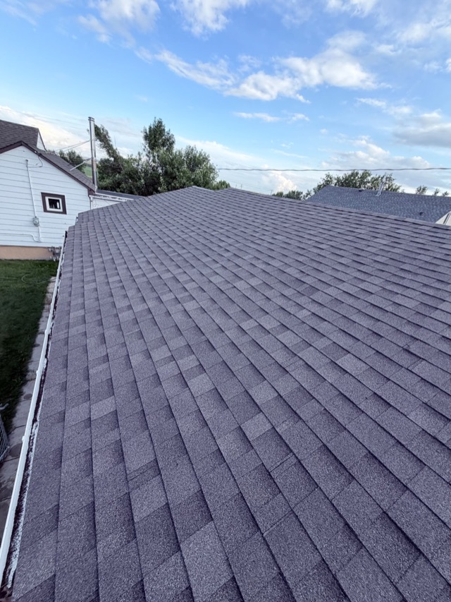 Dark shingle roof