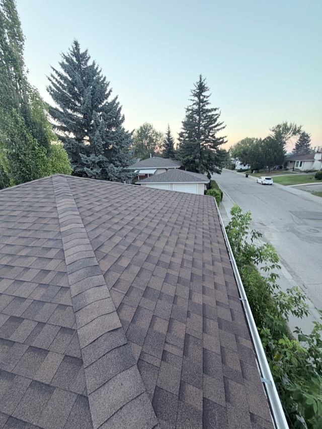 Shingle roof at dusk, street and trees beyond