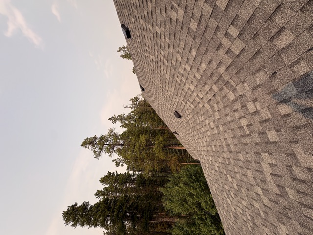 Shingle roof with vents, spruce trees at dusk