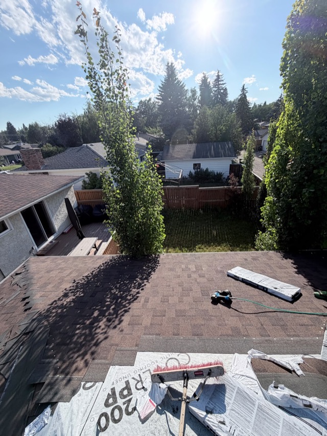 Roof edge with trees, houses beyond