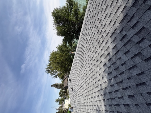 Grey shingle roof, trees behind