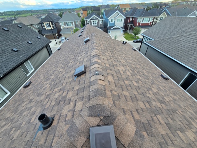 Shingle roof with vents
