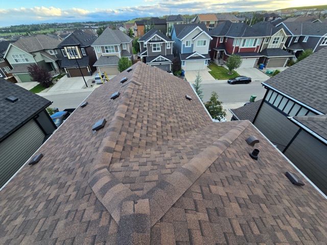 Shingle roof ridge, neighbourhood beyond