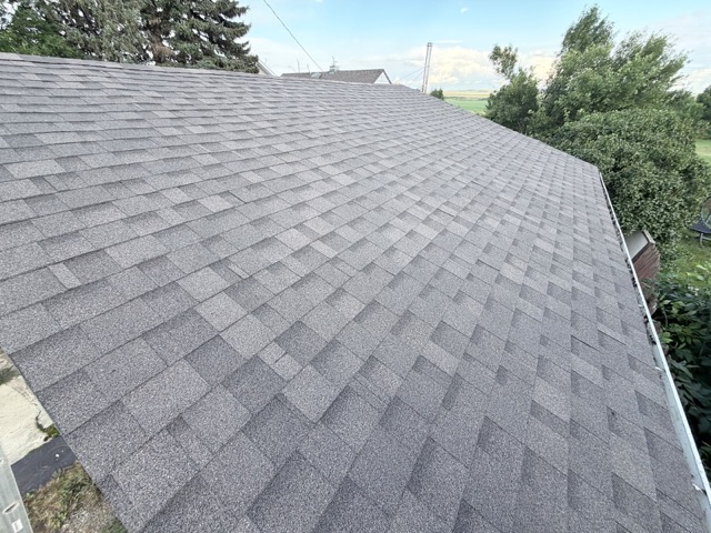 Shingle roof ridge with trees behind