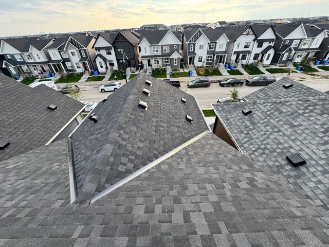 Shingle roof, street and houses beyond