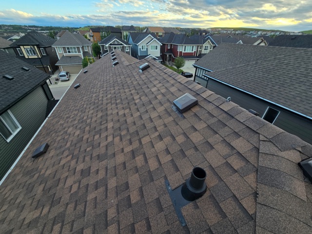 Brown shingle roof with a vent, evening sky