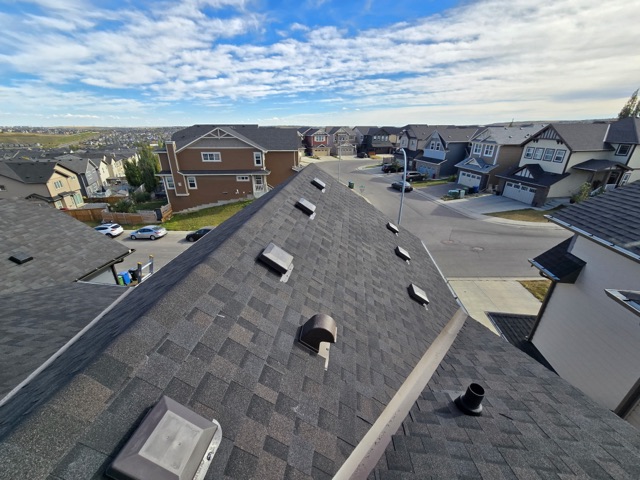 Brown shingle roof with vents, houses beyond