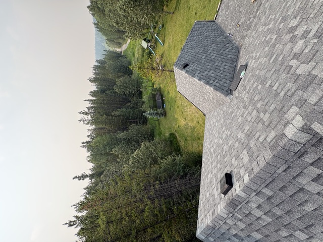 Shingle roof, yard and trees beyond